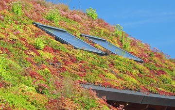 Boreley living roof systems